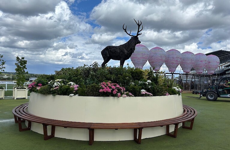 Resplendent Royal Ascot 2026
